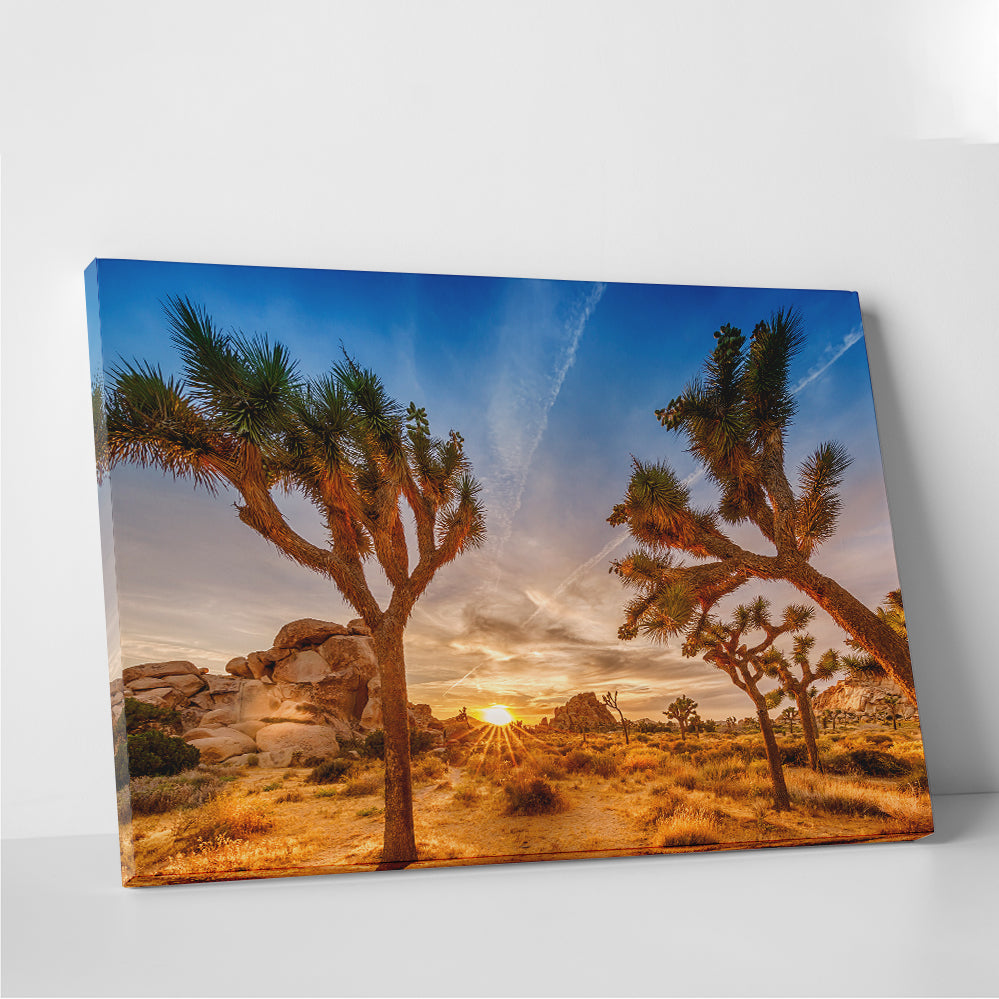 Sunset at Joshua Tree National Park Wall Art