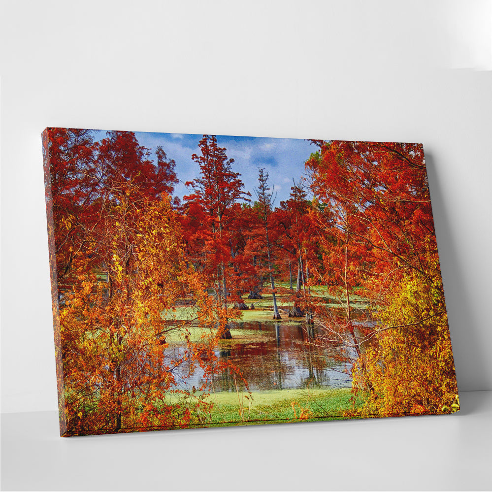 Lake Conway Cypress Trees Wall Art