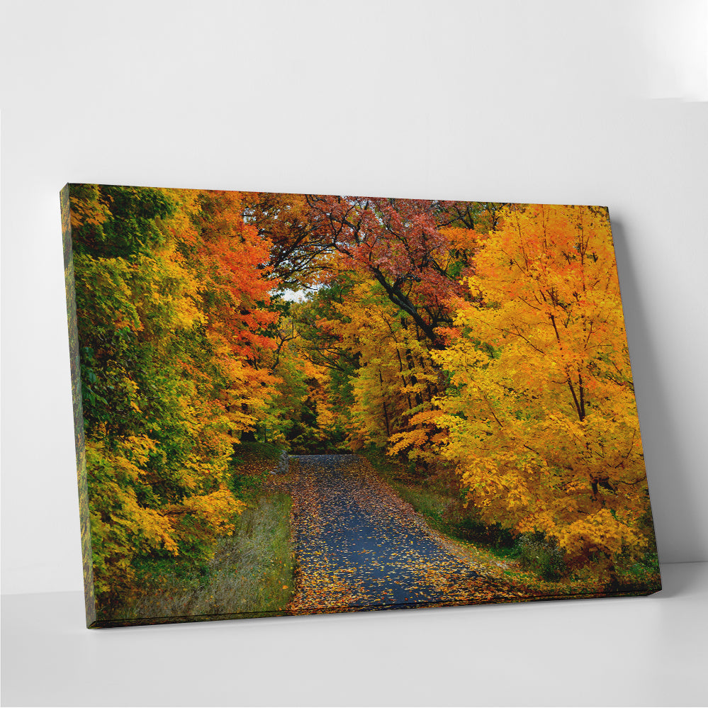 Lake Geneva Wisconsin Fall Road Wall Art