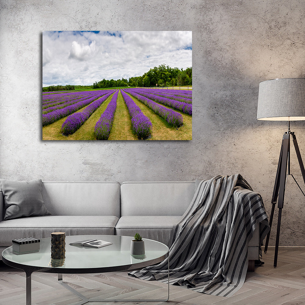 Lavender Rose Door County Wall Art