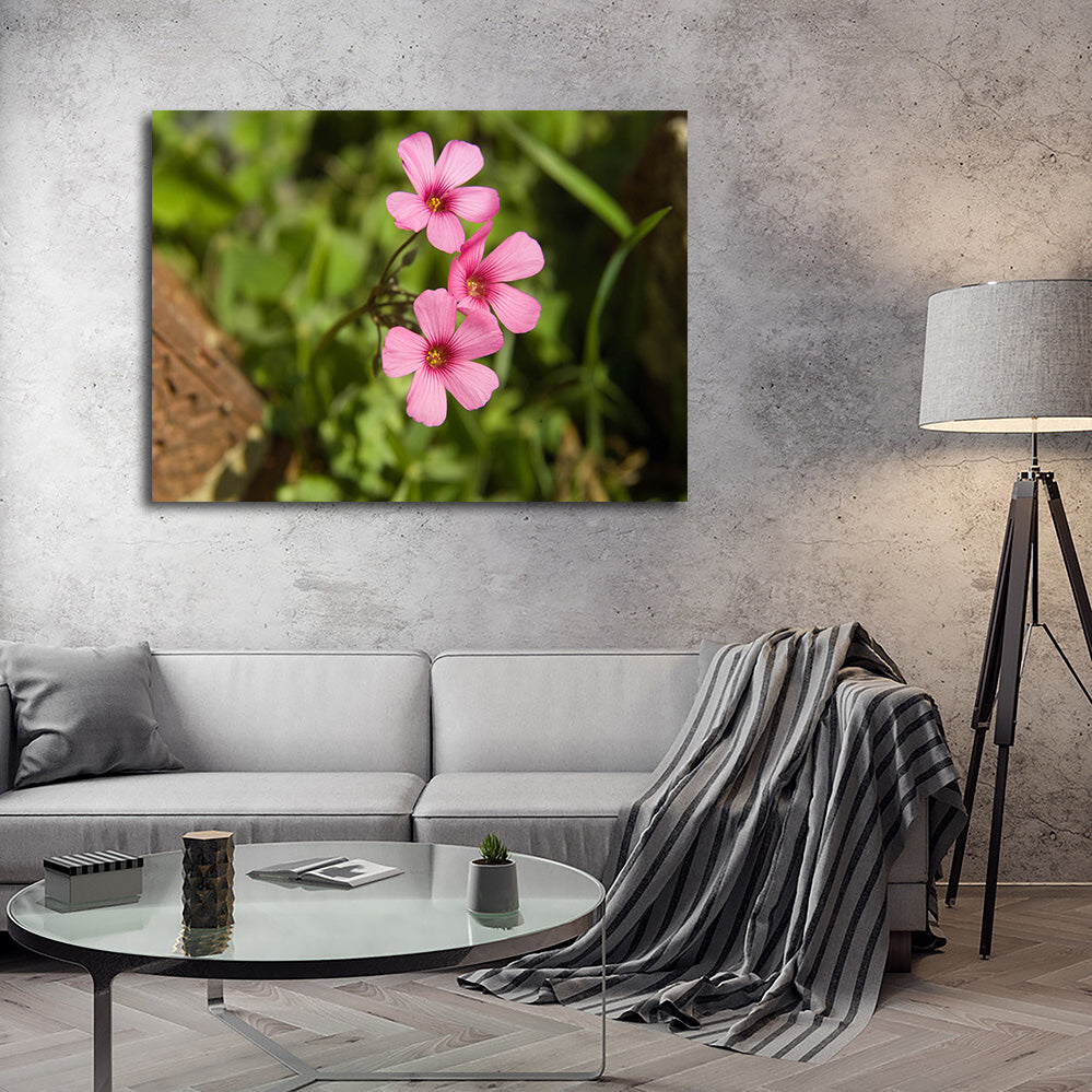 Purple Wildflower - North Arkansas Wall Art