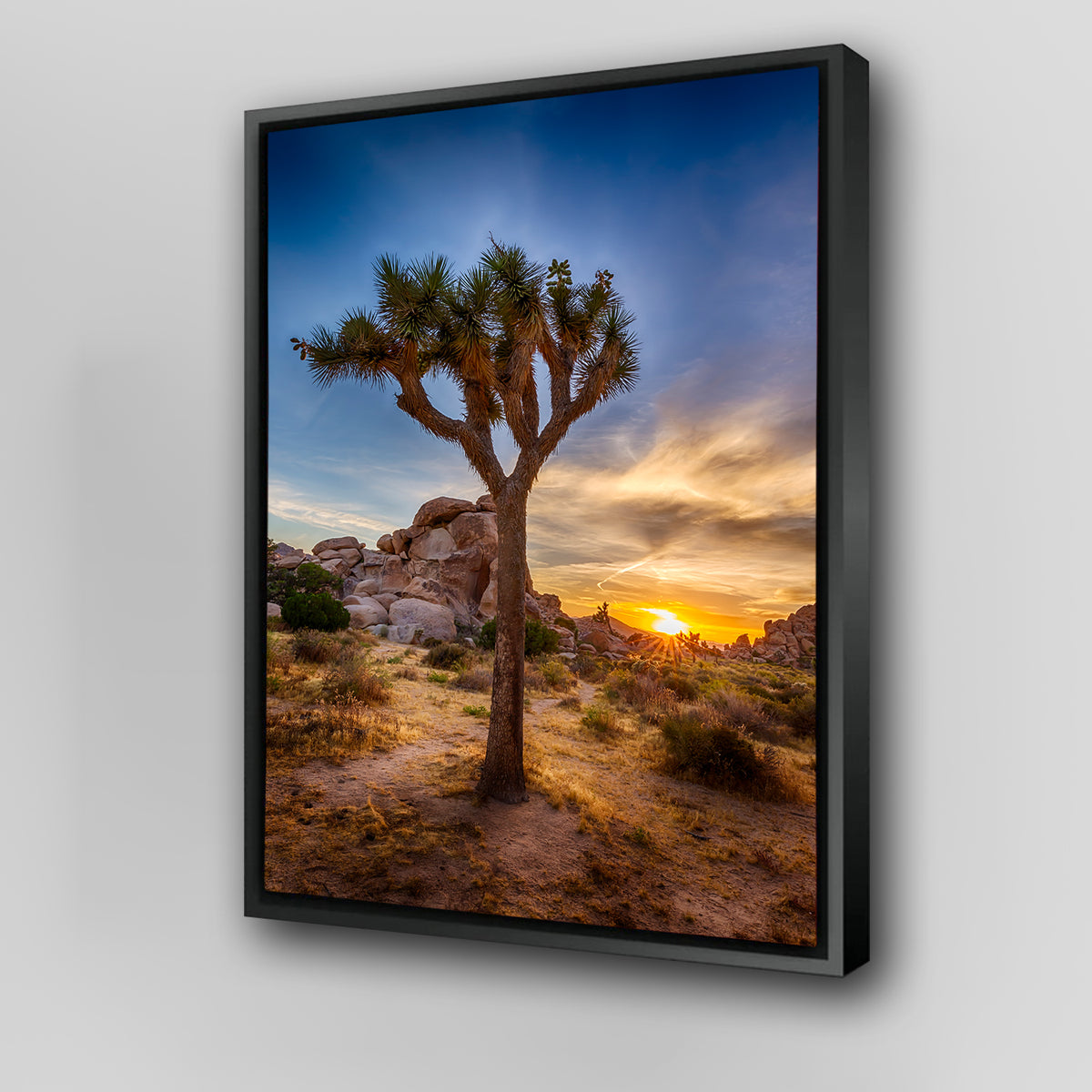 Joshua Tree National Park Wall Art