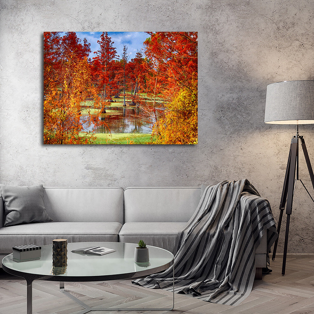 Lake Conway Cypress Trees Wall Art