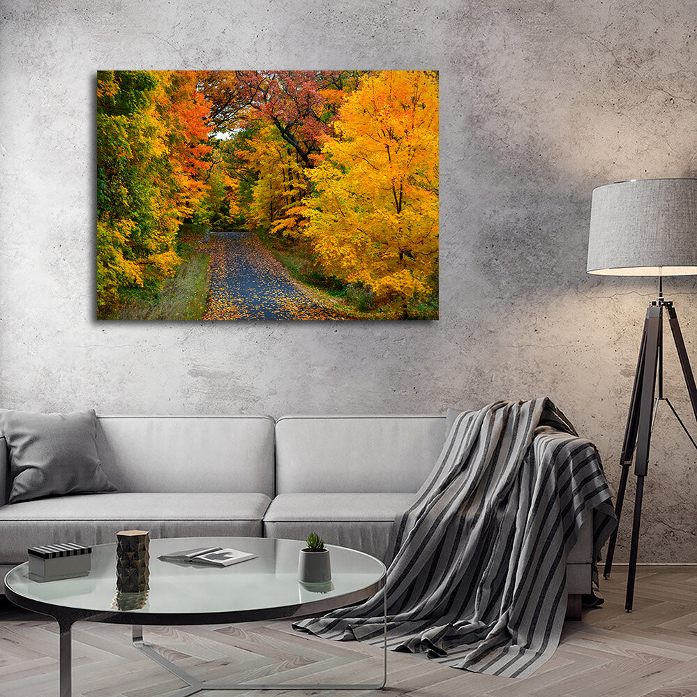 Lake Geneva Wisconsin Fall Road Wall Art