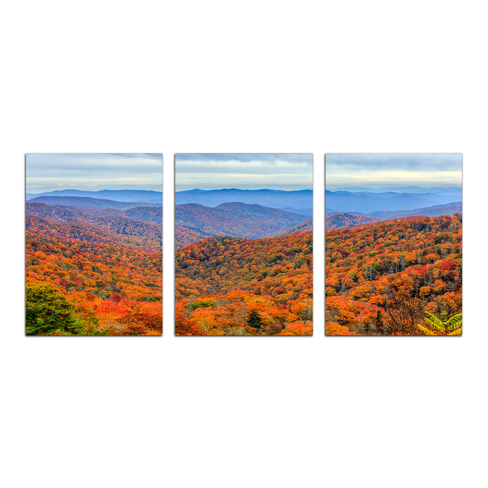 Great Smoky Mountains Autumn Wall Art