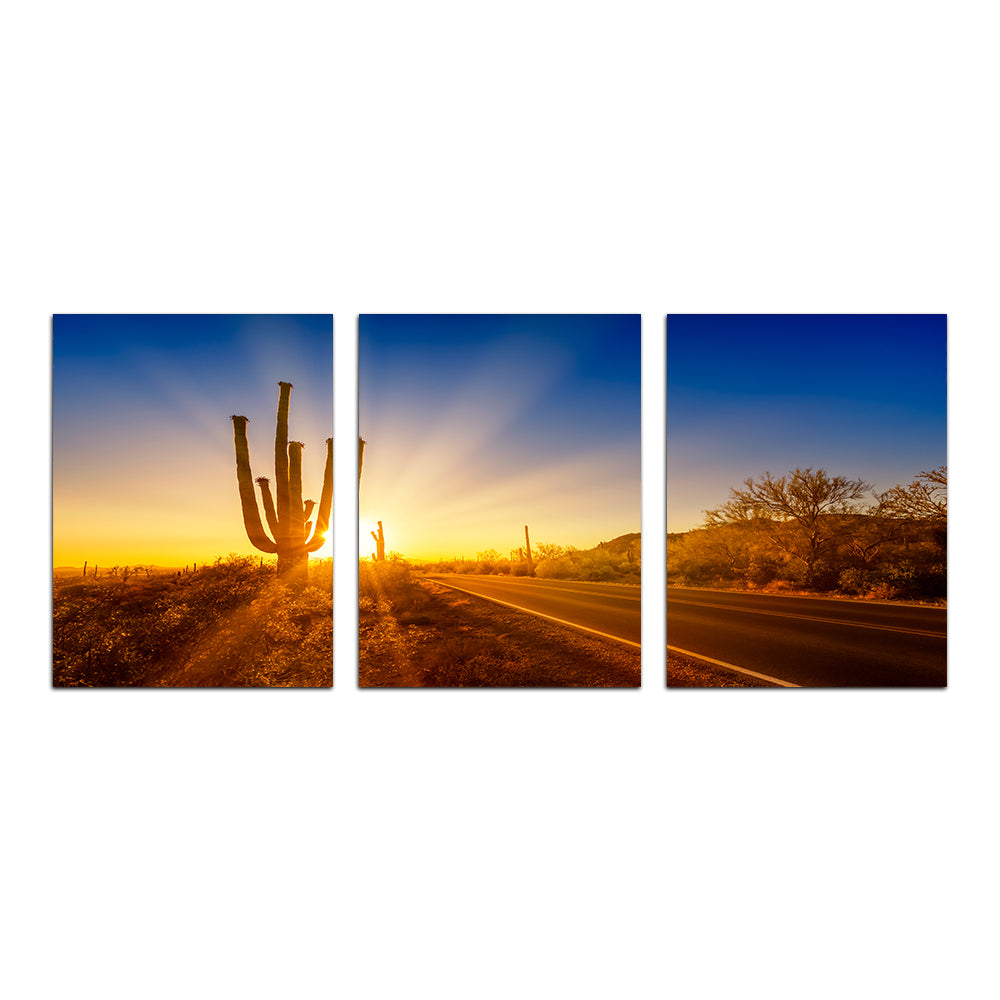 Saguaro National Park Setting Sun Wall Art