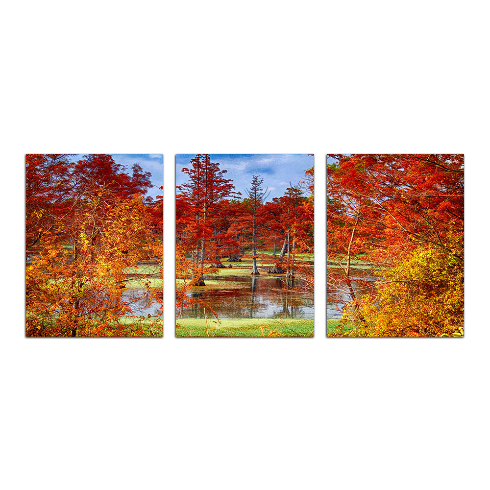 Lake Conway Cypress Trees Wall Art