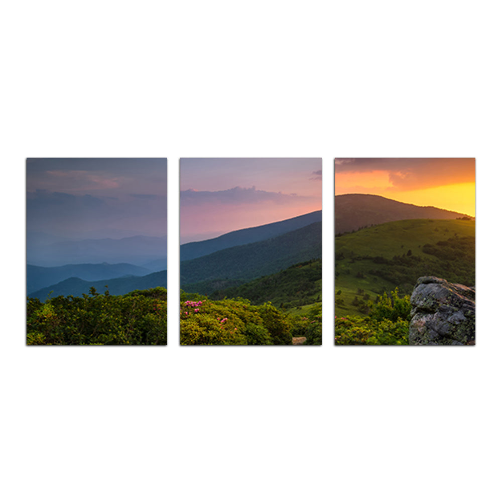 Appalachian Trail Roan Mountain state Park Wall Art