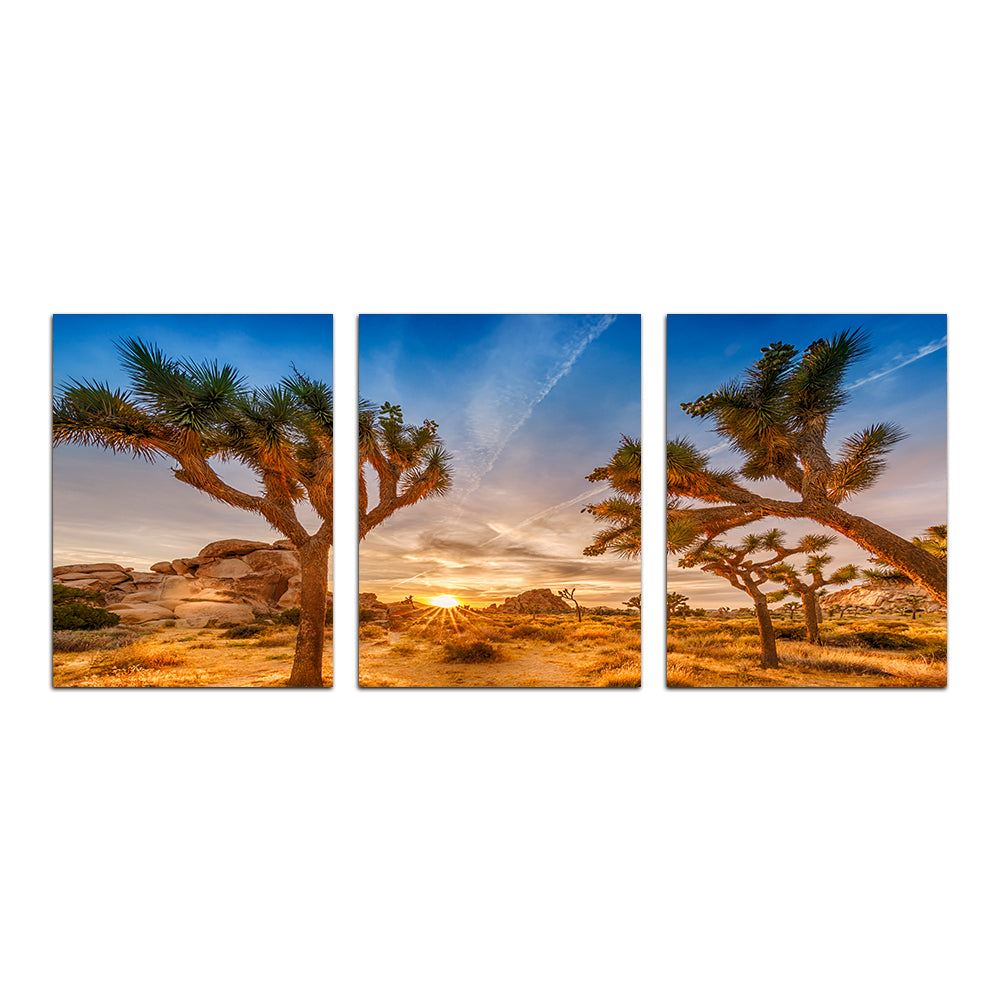 Sunset at Joshua Tree National Park Wall Art