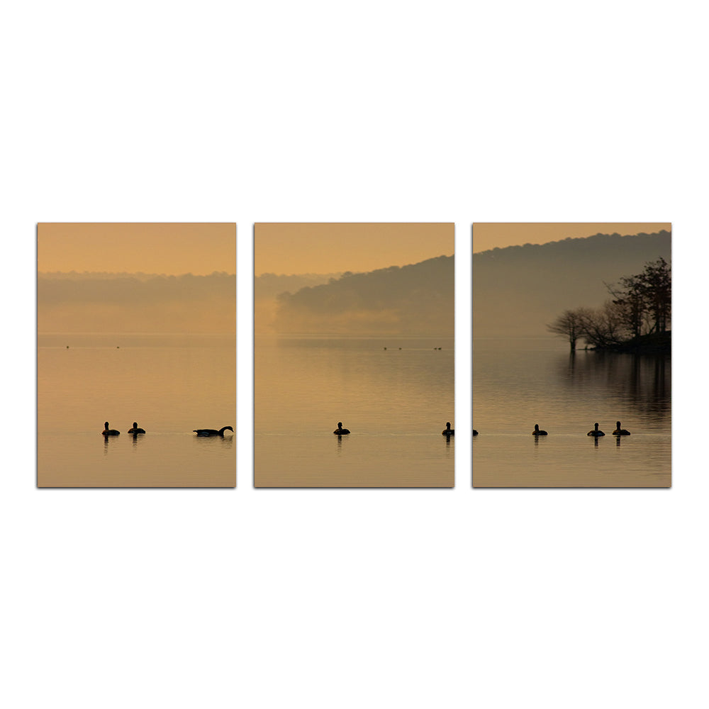 Geese on Lake Degray Wall Art