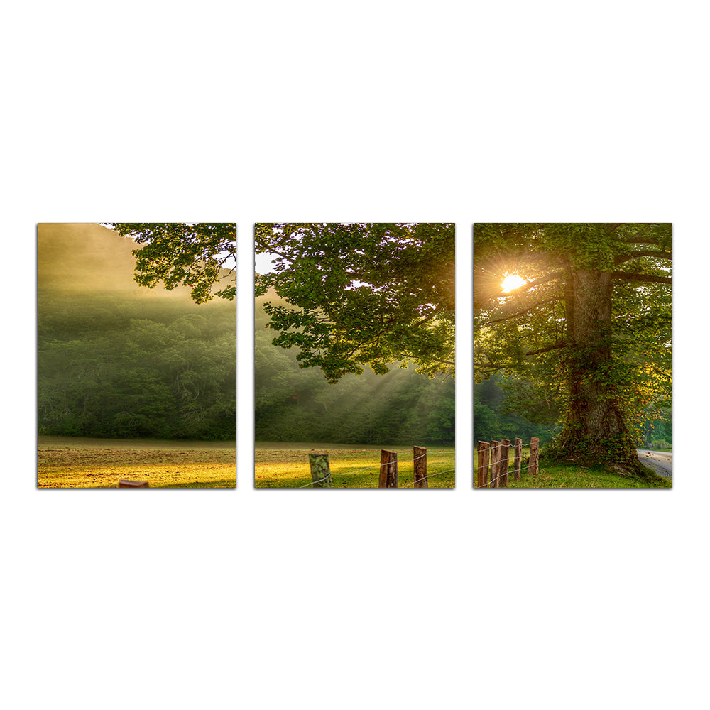 Cades Cove Wall Art