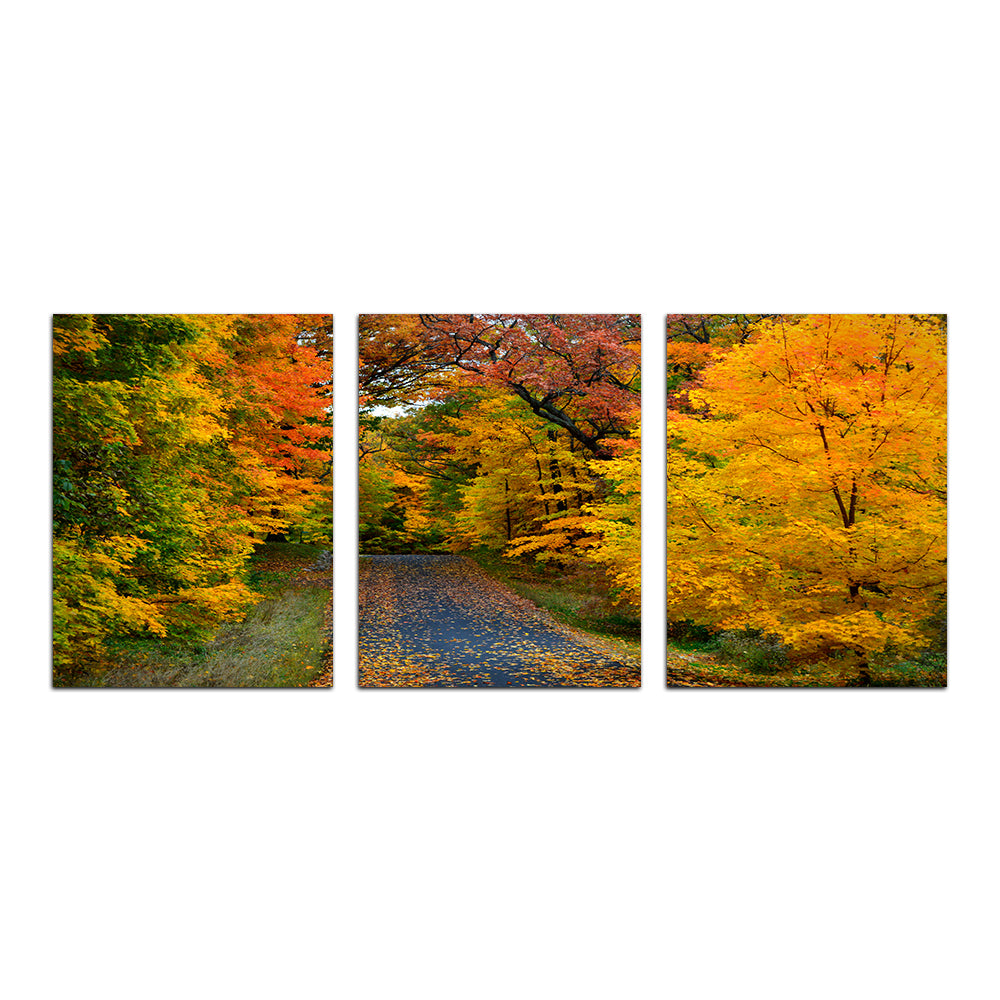 Lake Geneva Wisconsin Fall Road Wall Art