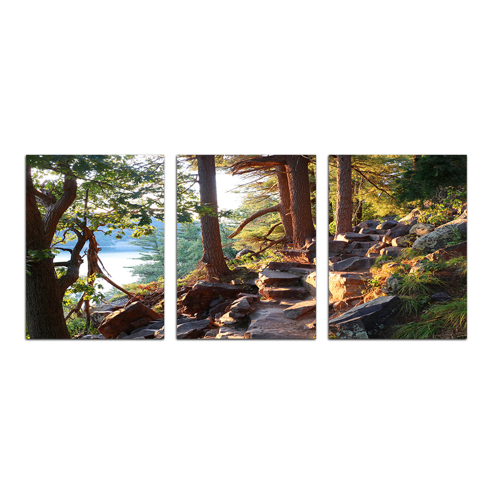 Ice Age Trail Wall Art