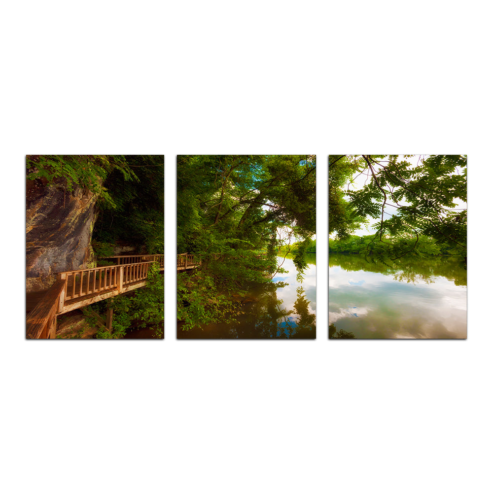Ijam Nature Park Boardwalk Wall Art