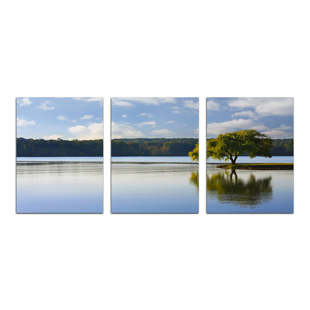 Willow Tree On The Tennessee River Wall Art