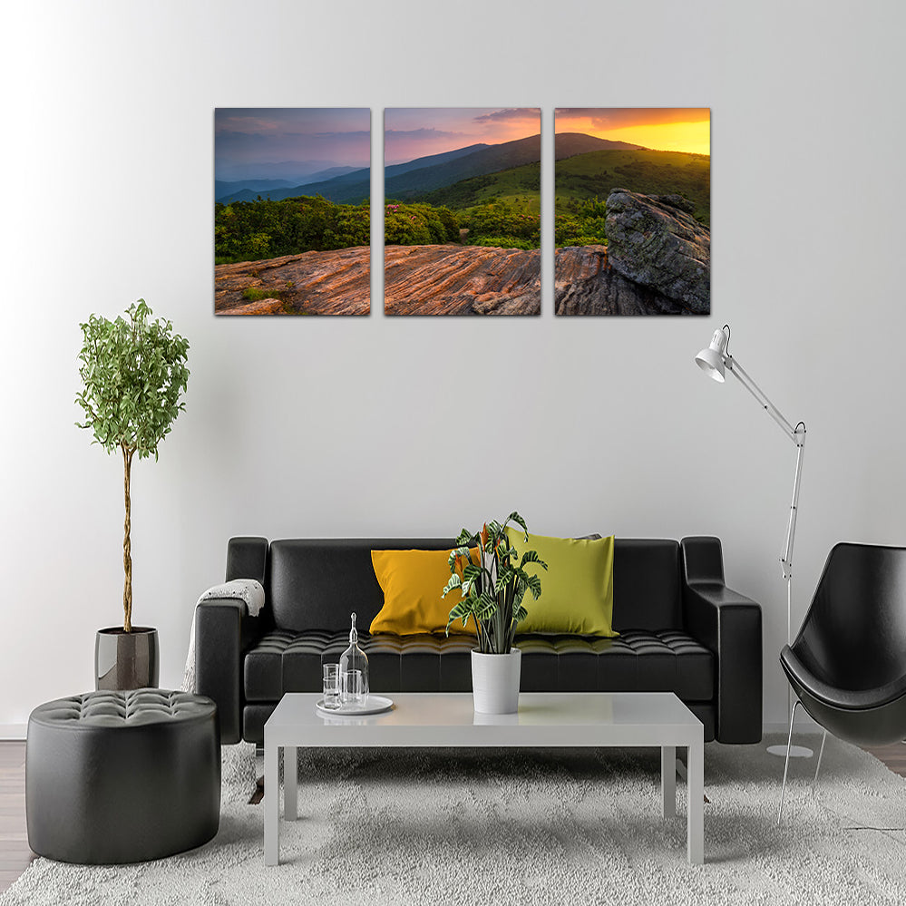 Appalachian Trail Roan Mountain state Park Wall Art