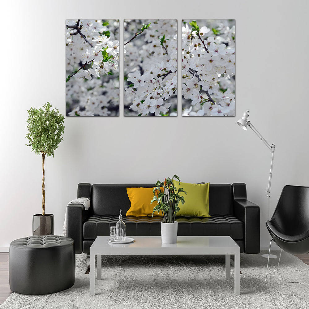 Apple Tree Blossoms Wall Art
