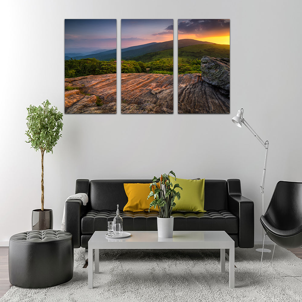 Appalachian Trail Roan Mountain state Park Wall Art