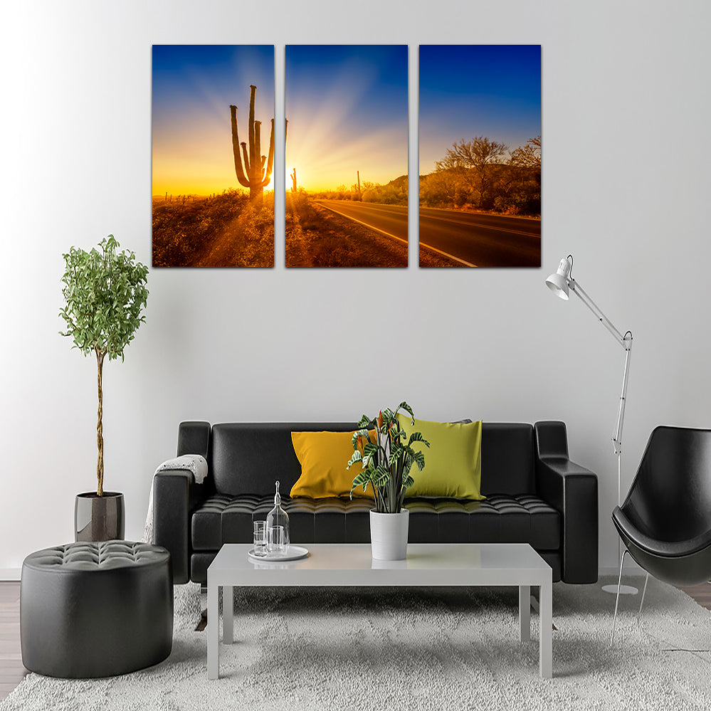 Saguaro National Park Setting Sun Wall Art