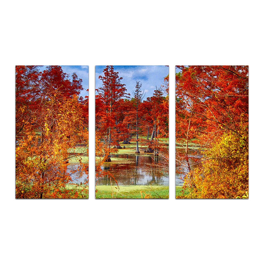 Lake Conway Cypress Trees Wall Art