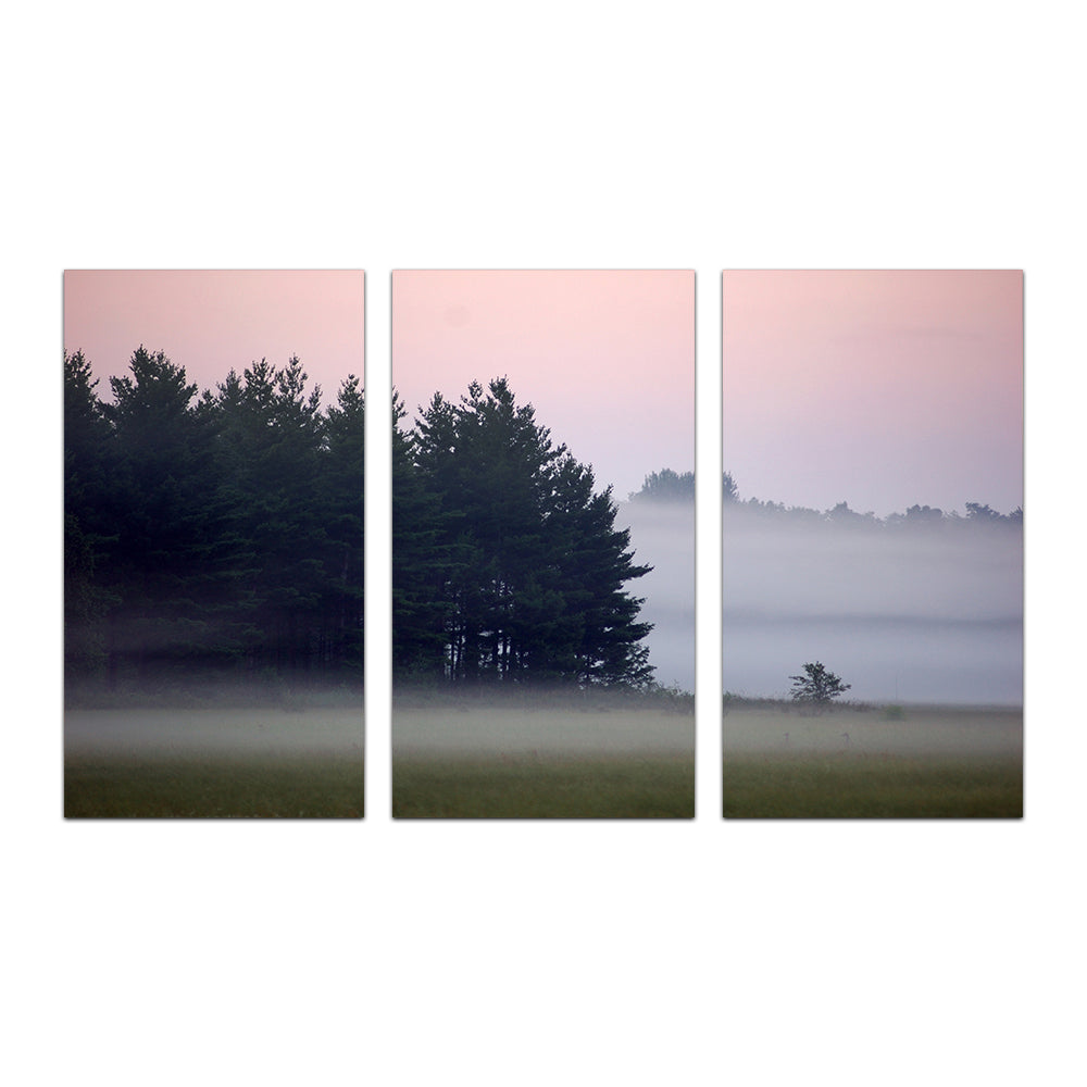 Misty Wisconsin Morning Castle Rock Lake Wall Art