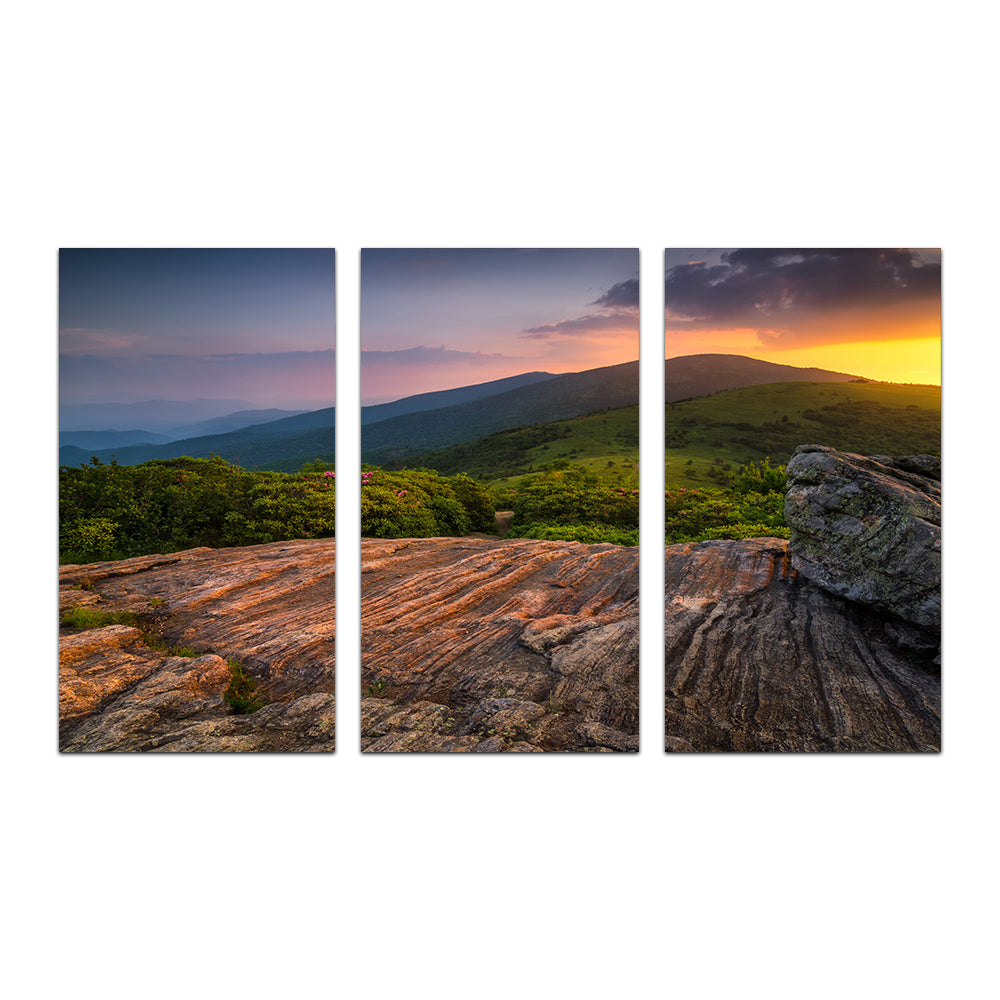 Appalachian Trail Roan Mountain state Park Wall Art