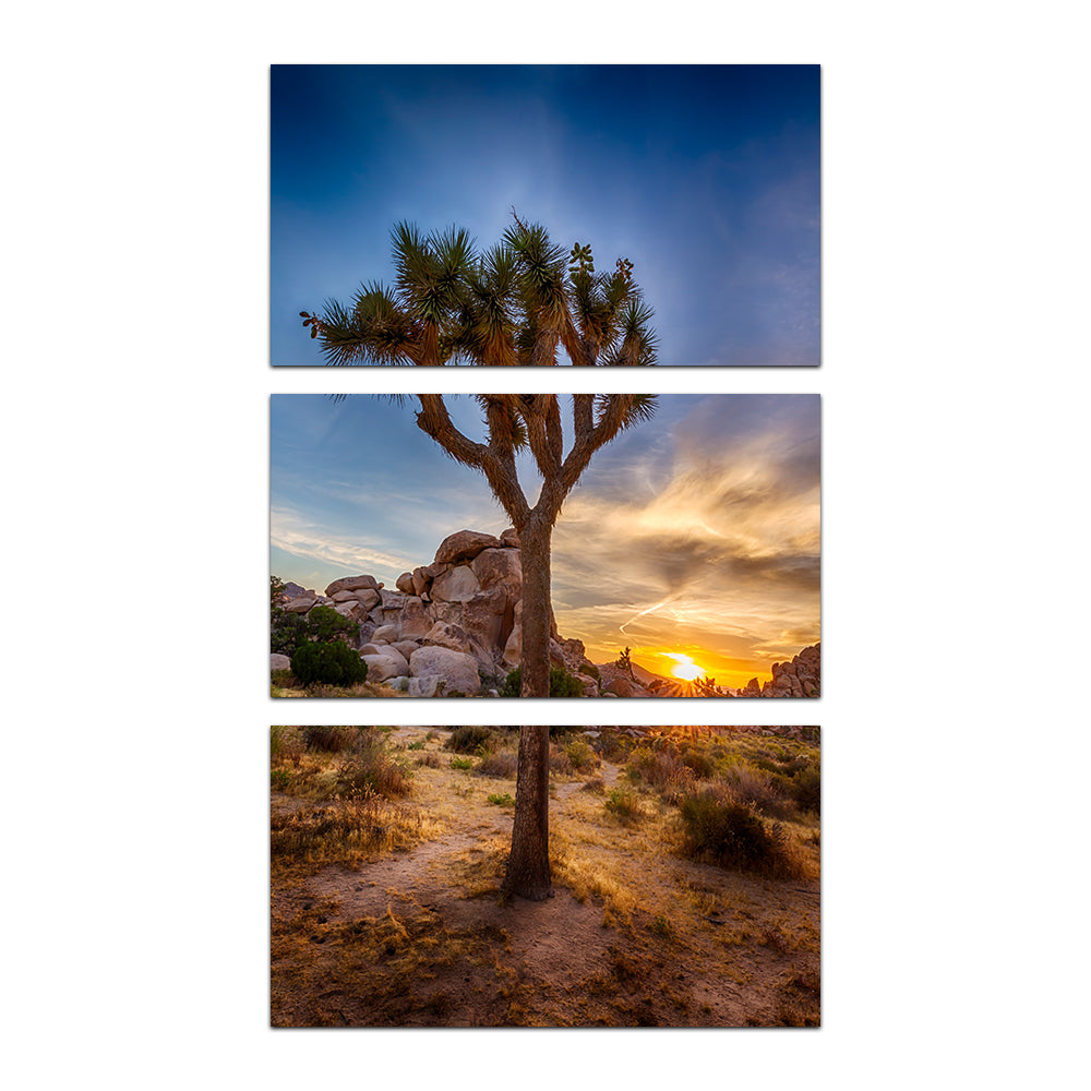 Joshua Tree National Park Wall Art