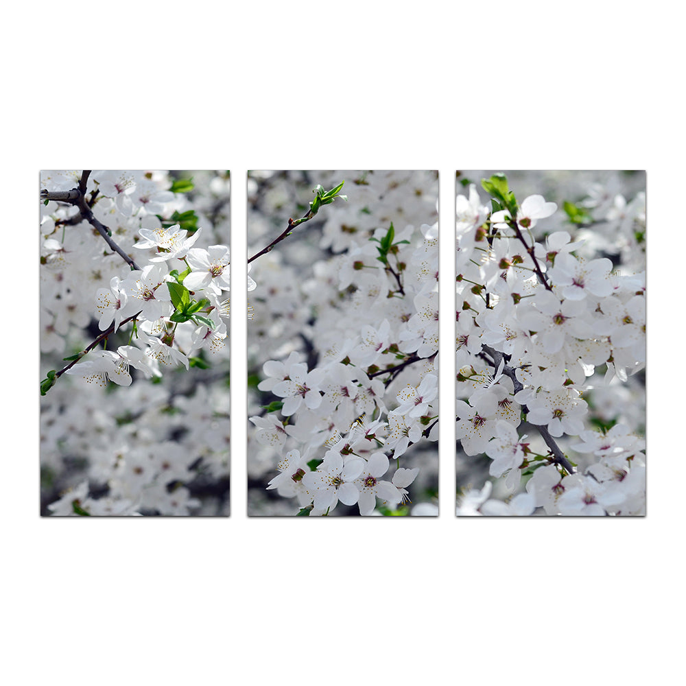 Apple Tree Blossoms Wall Art