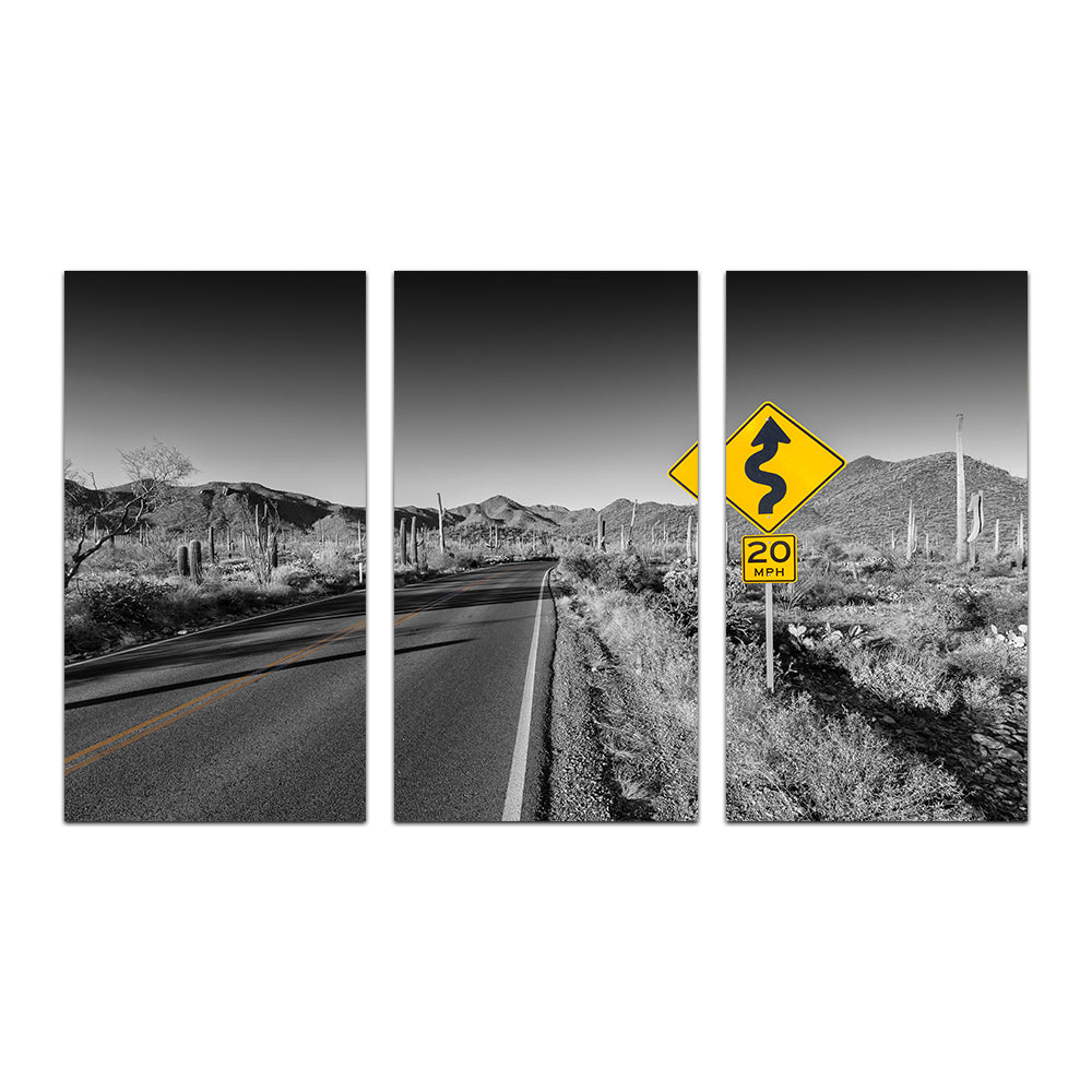 Saguaro National Park Bajada Loop Drive Wall Art
