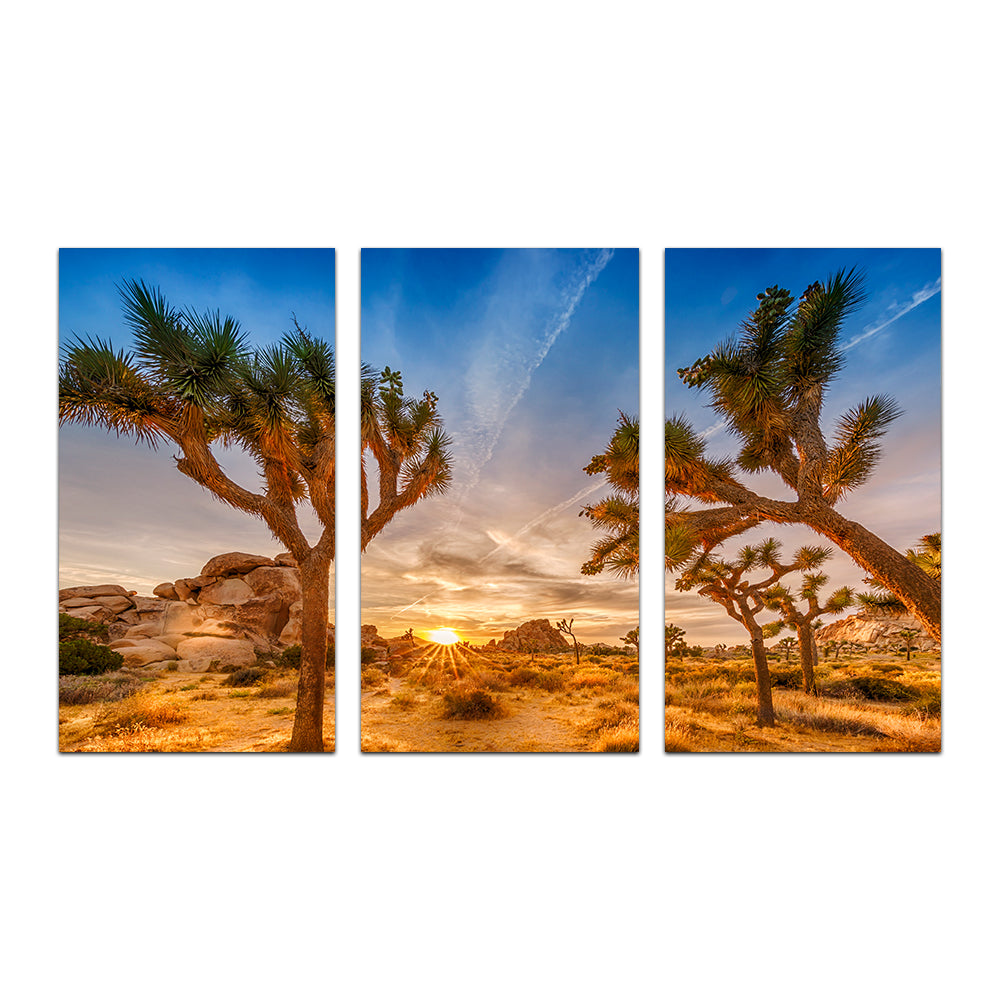 Sunset at Joshua Tree National Park Wall Art