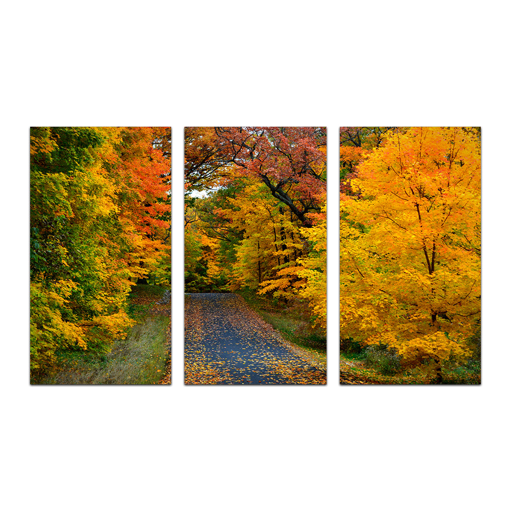 Lake Geneva Wisconsin Fall Road Wall Art