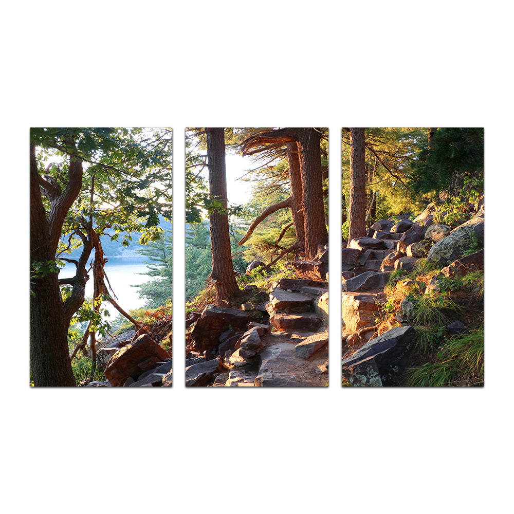 Ice Age Trail Wall Art