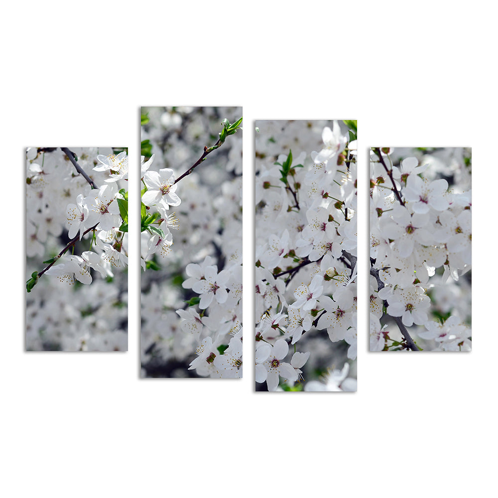 Apple Tree Blossoms Wall Art