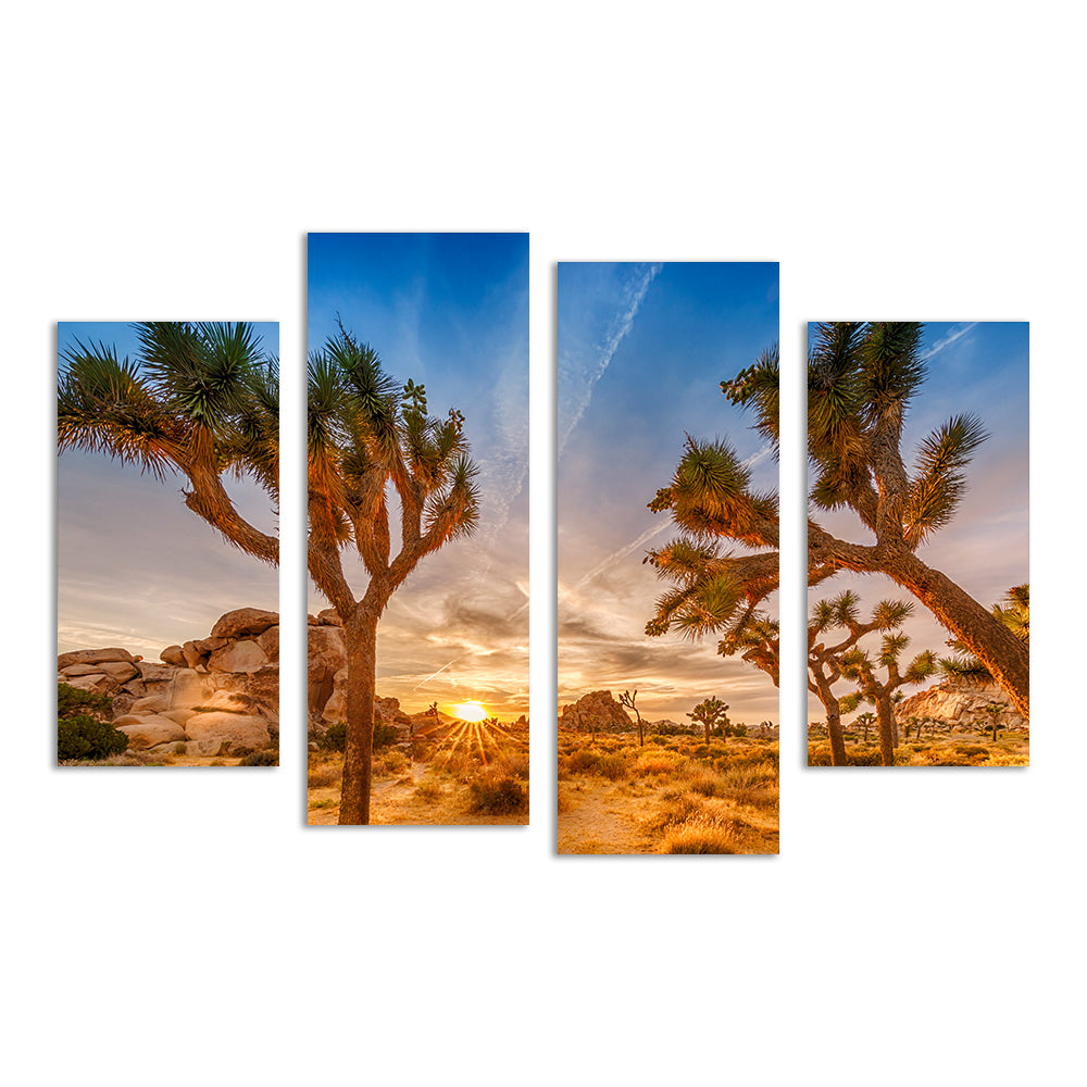 Sunset at Joshua Tree National Park Wall Art