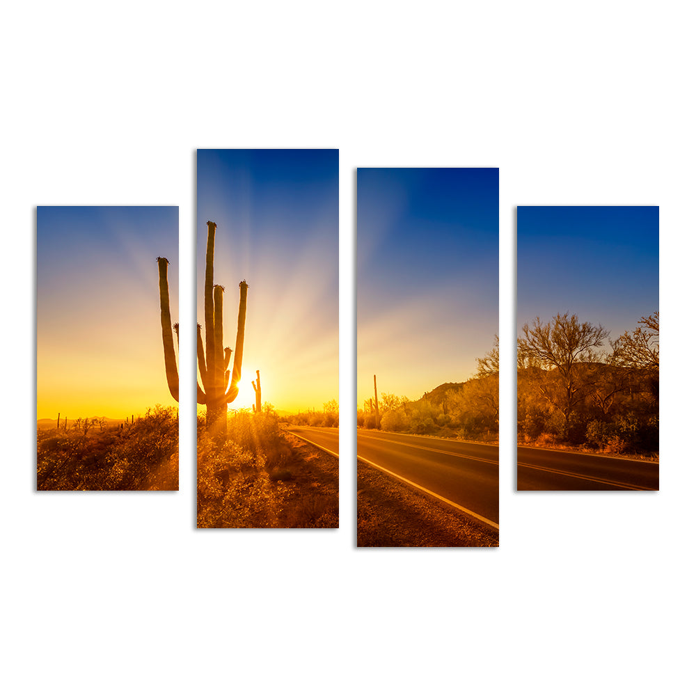 Saguaro National Park Setting Sun