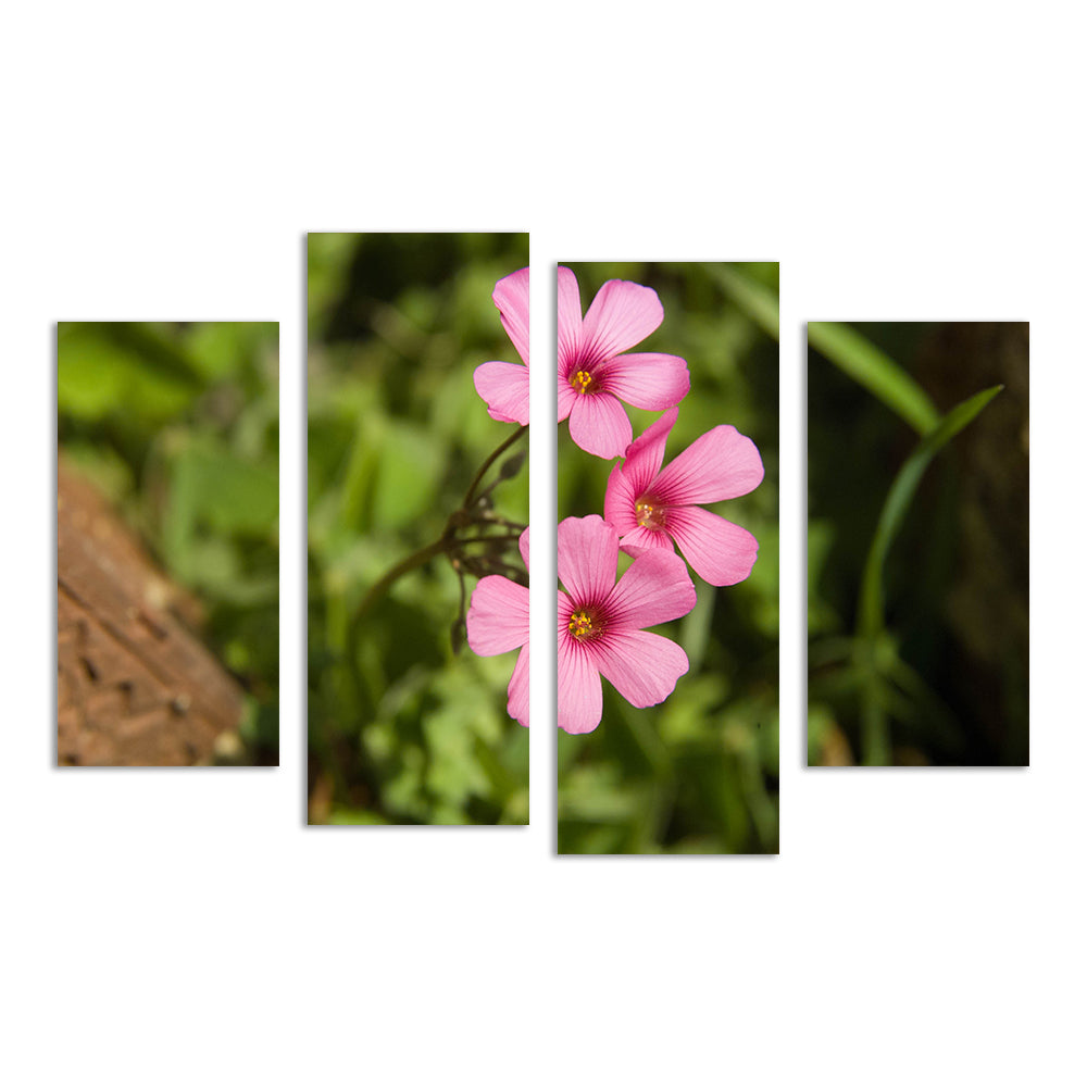 Purple Wildflower - North Arkansas Wall Art