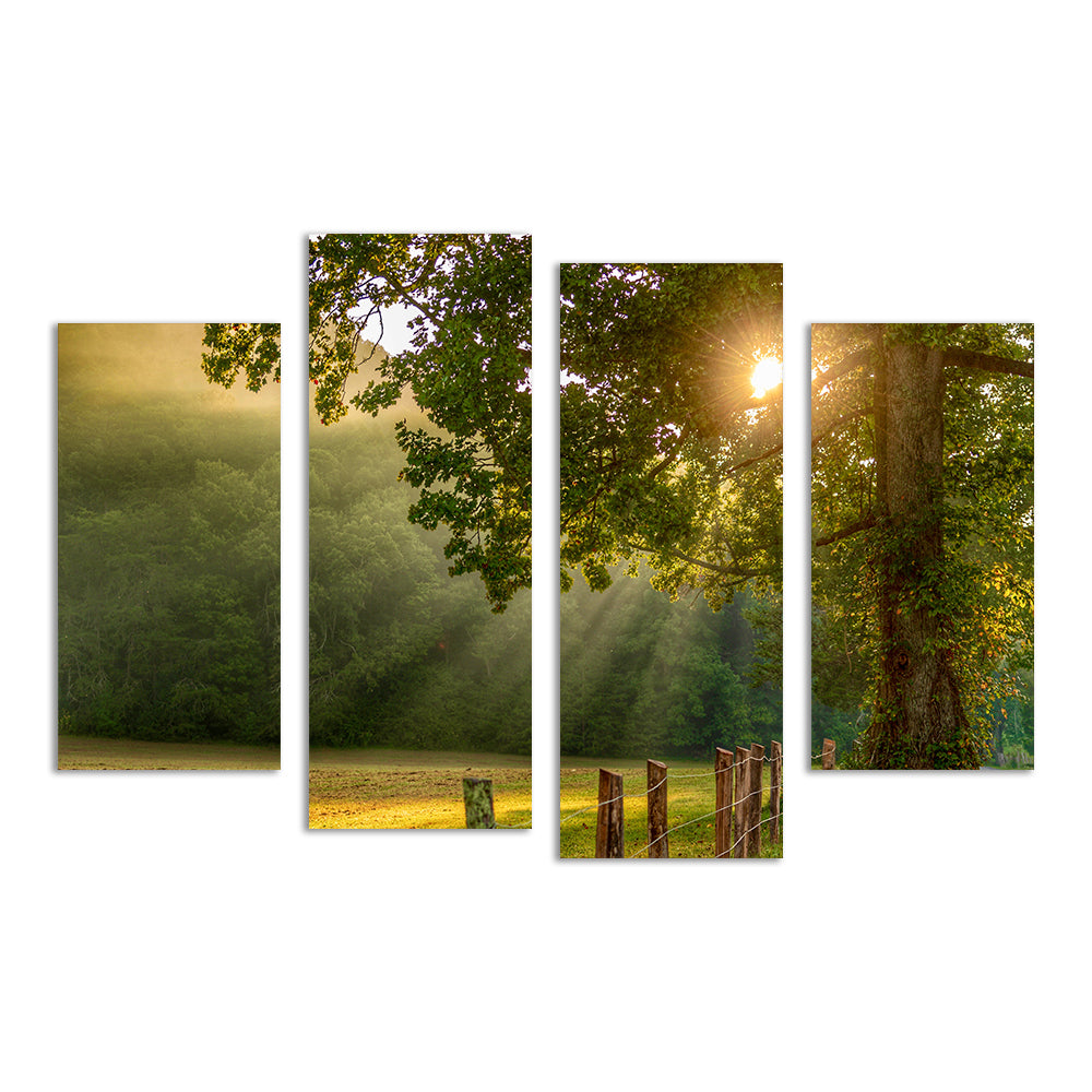 Cades Cove Wall Art
