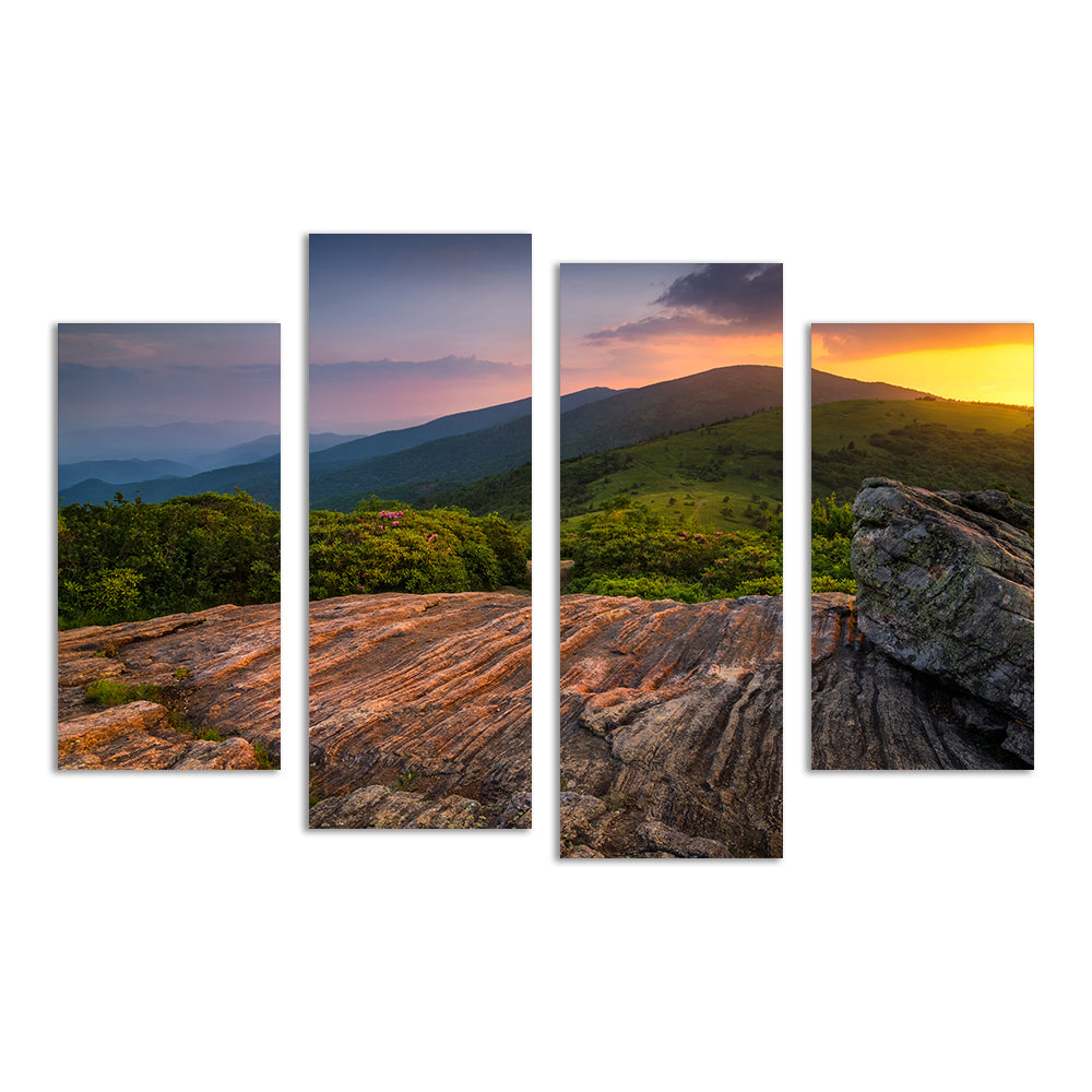 Appalachian Trail Roan Mountain state Park Wall Art