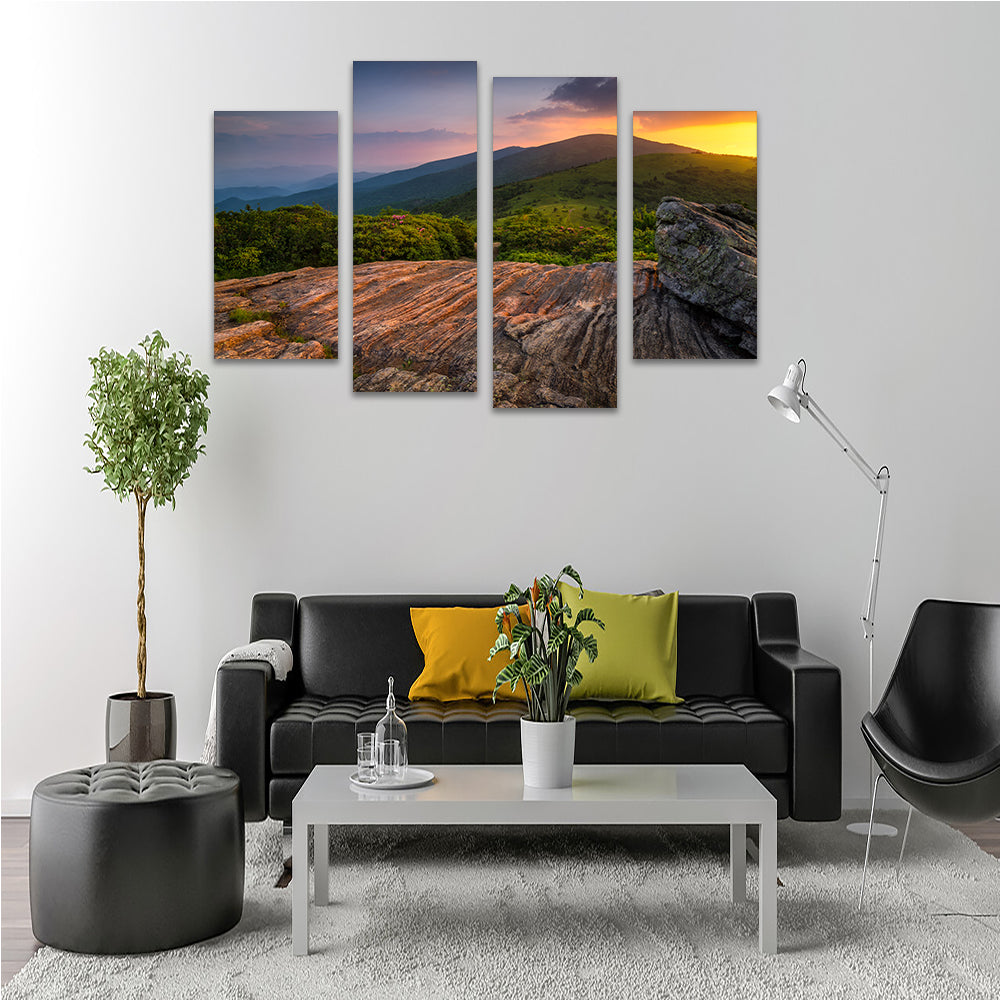 Appalachian Trail Roan Mountain state Park Wall Art