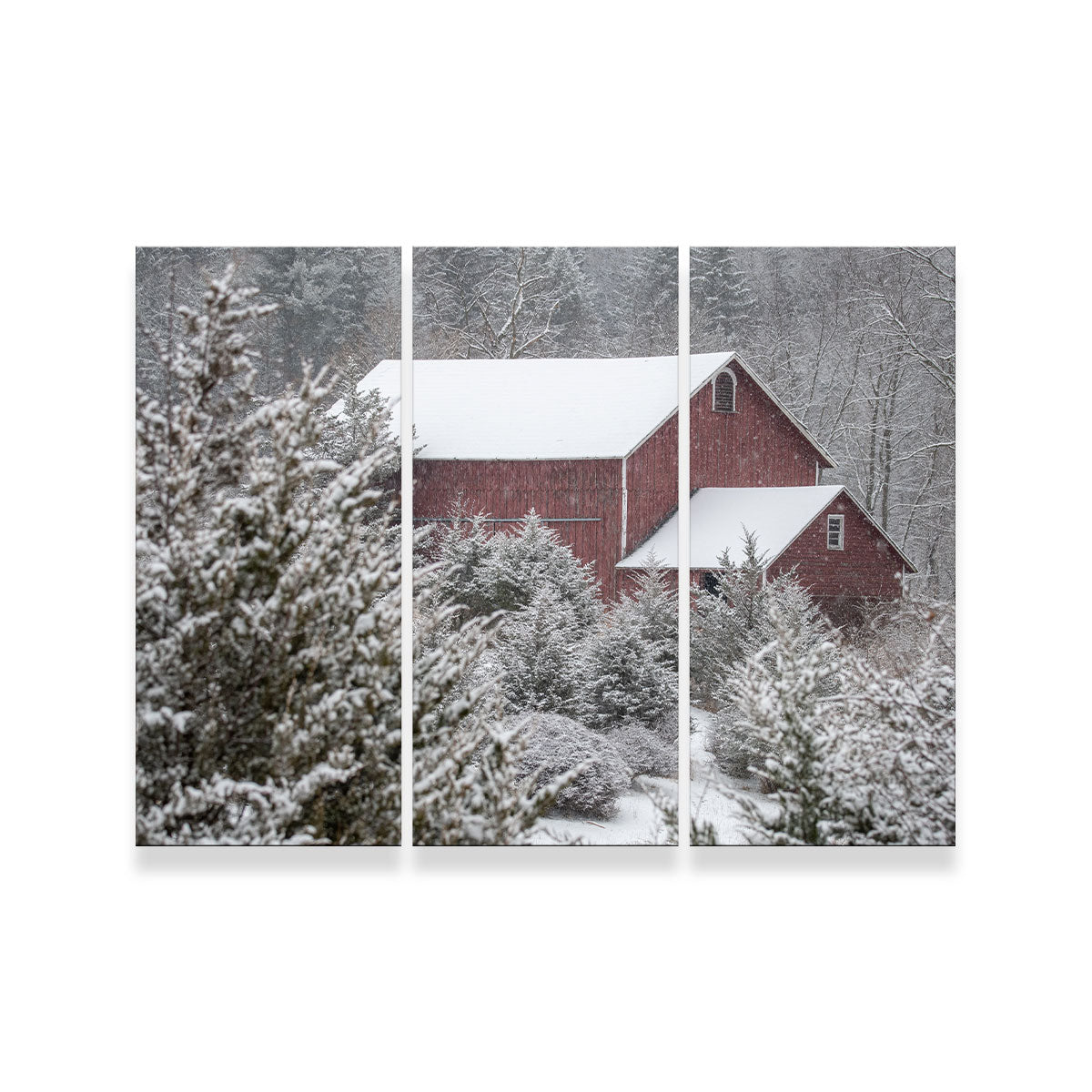 A Cold Silence Wall Art