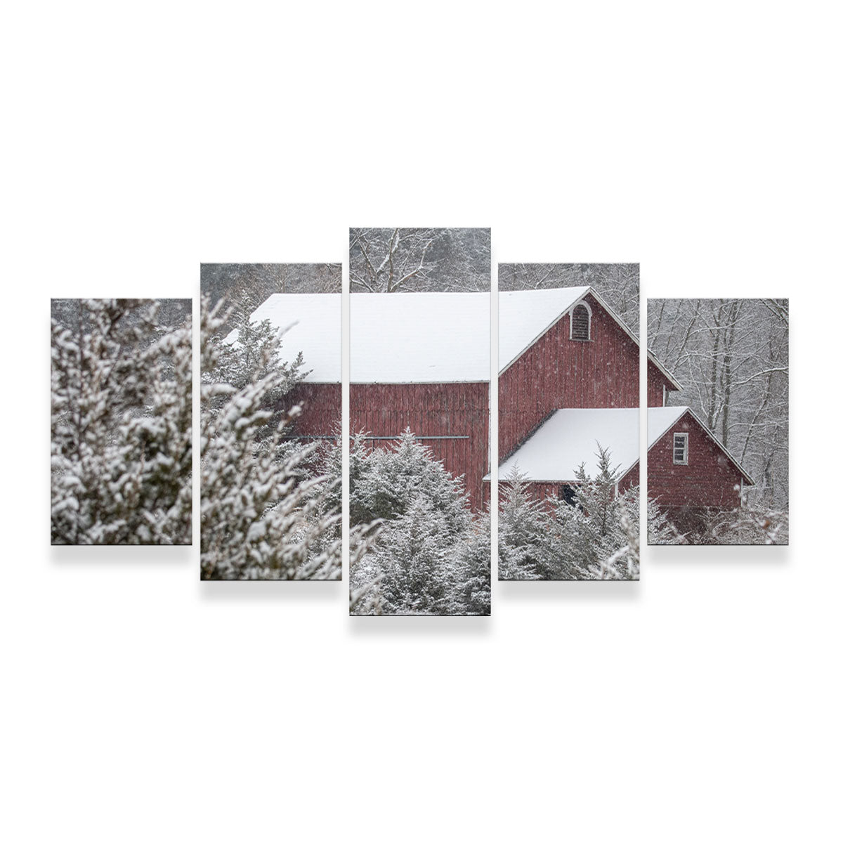 A Cold Silence Wall Art