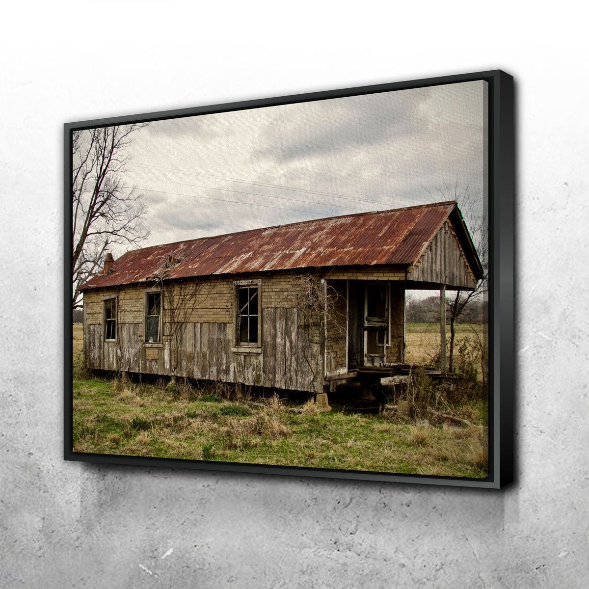 Abandoned Cabin Louisiana Wall Art