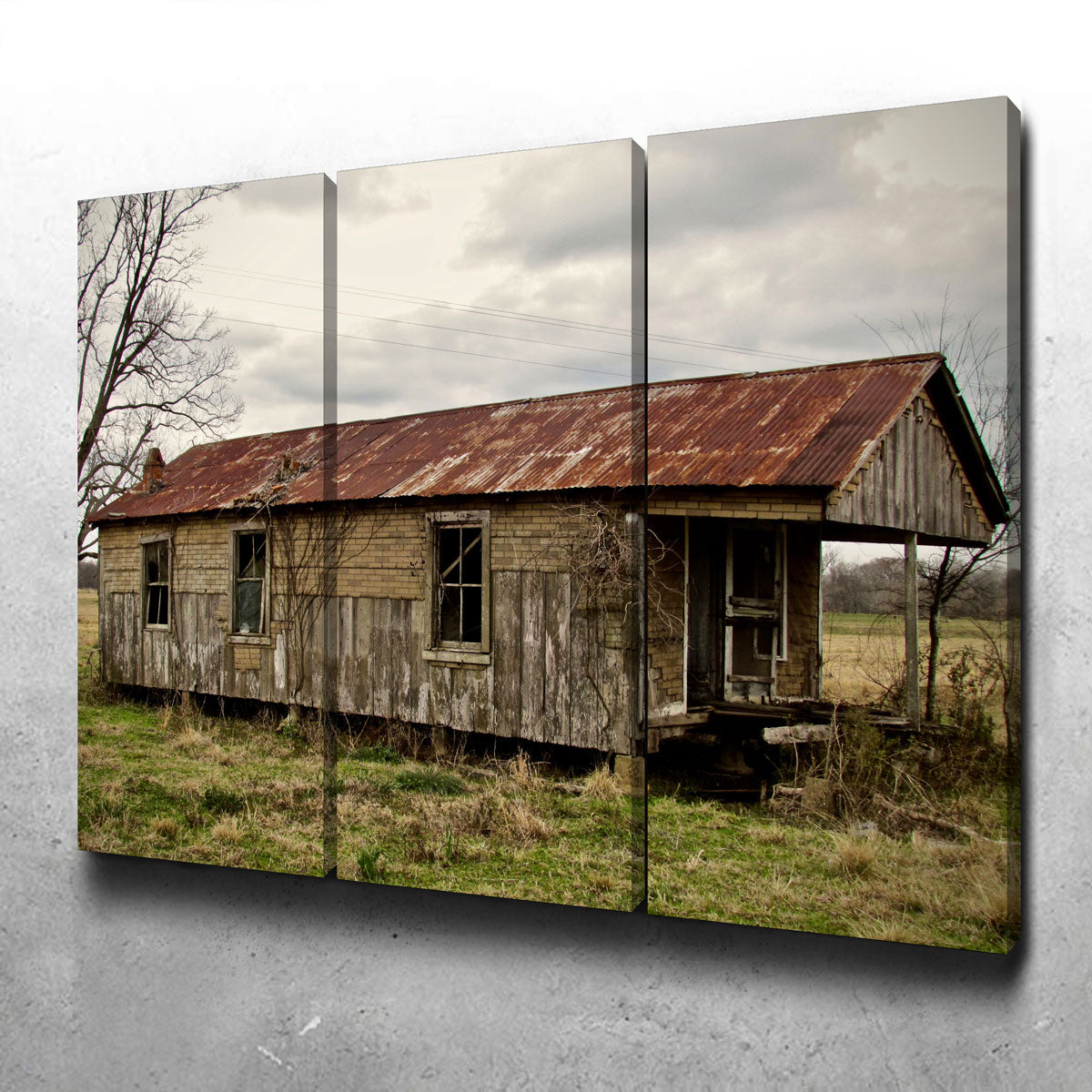 Abandoned Cabin Louisiana Wall Art