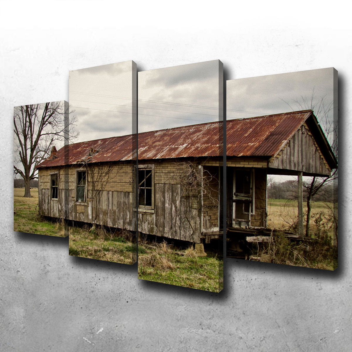 Abandoned Cabin Louisiana Wall Art
