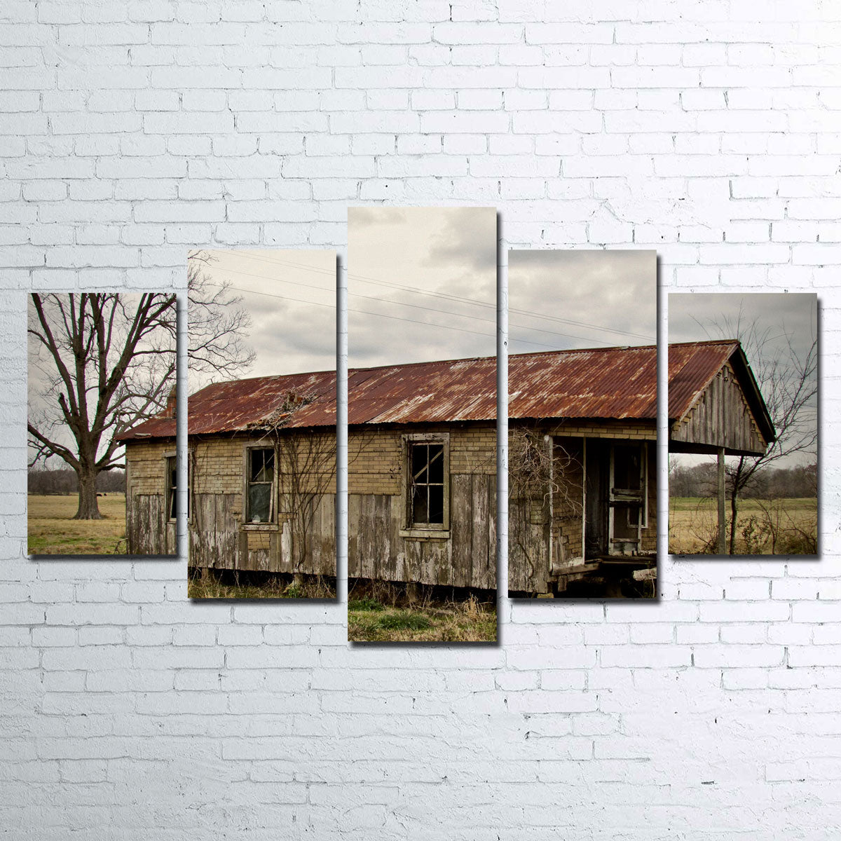 Abandoned Cabin Louisiana Wall Art