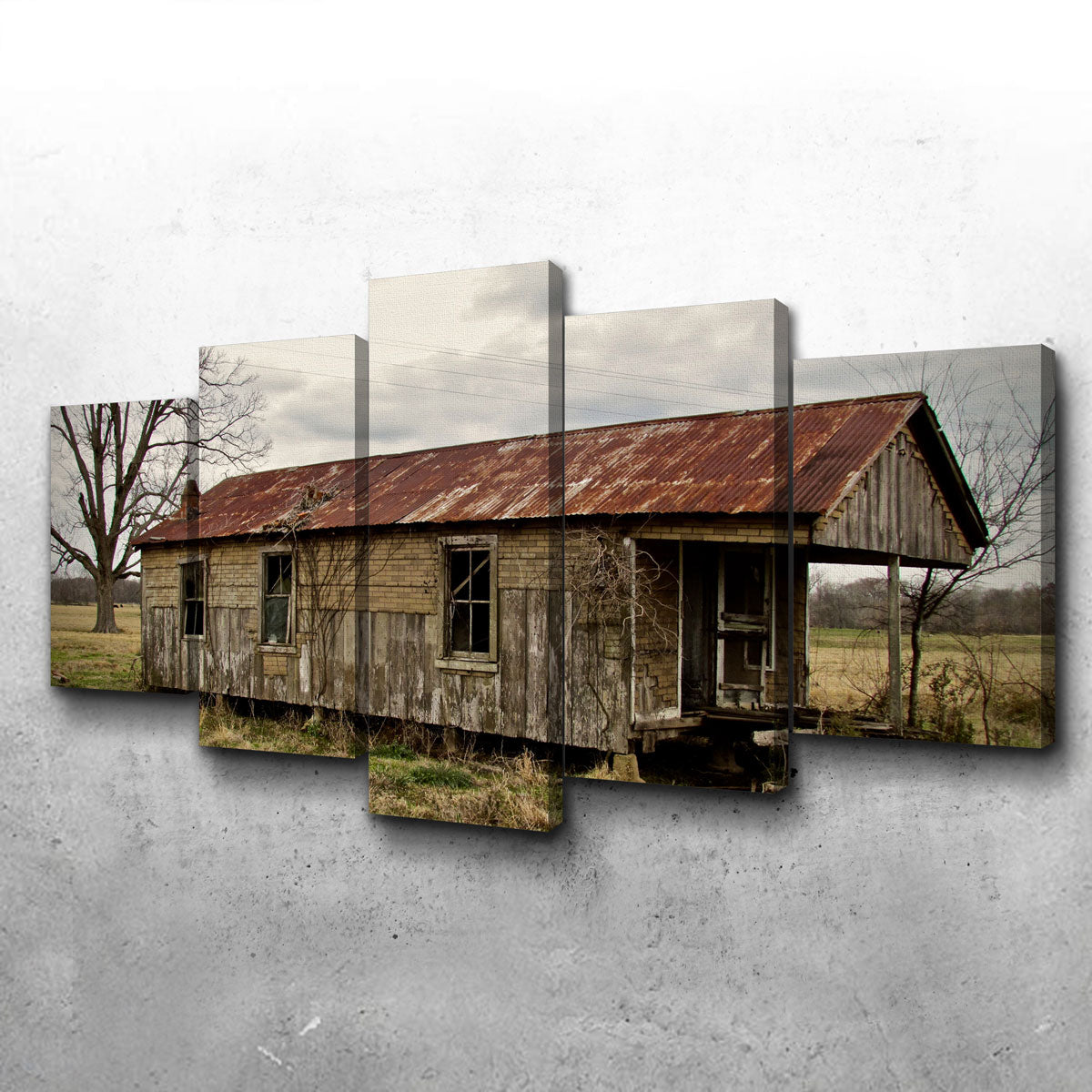 Abandoned Cabin Louisiana Wall Art