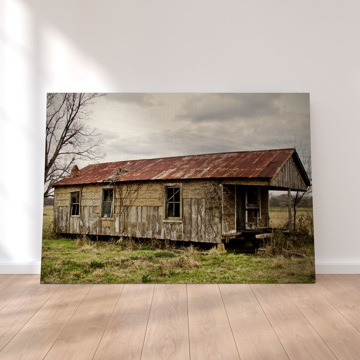 Abandoned Cabin Louisiana Wall Art
