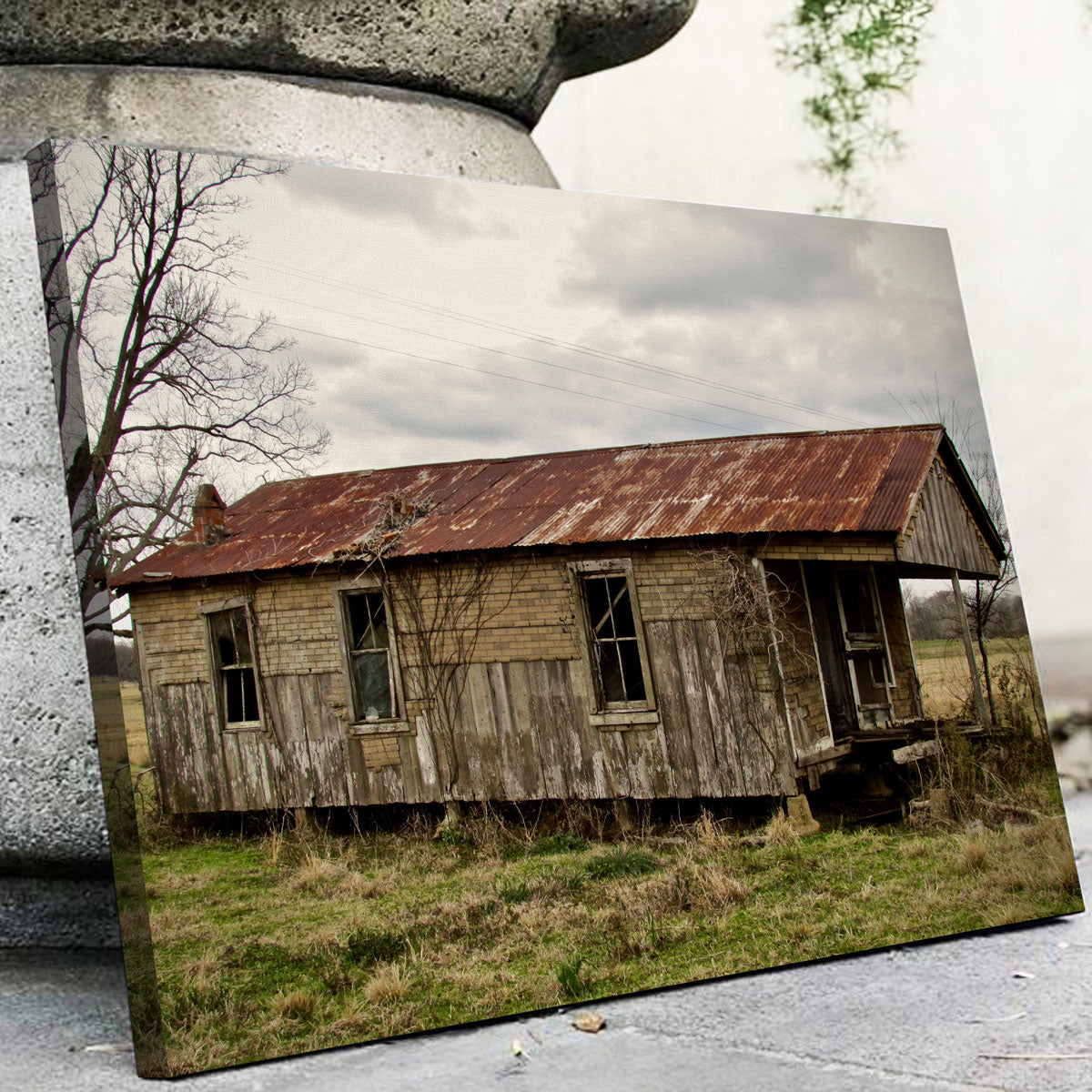Abandoned Cabin Louisiana Wall Art