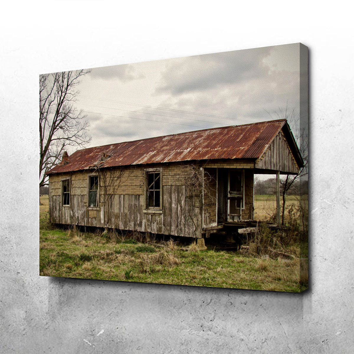 Abandoned Cabin Louisiana Wall Art