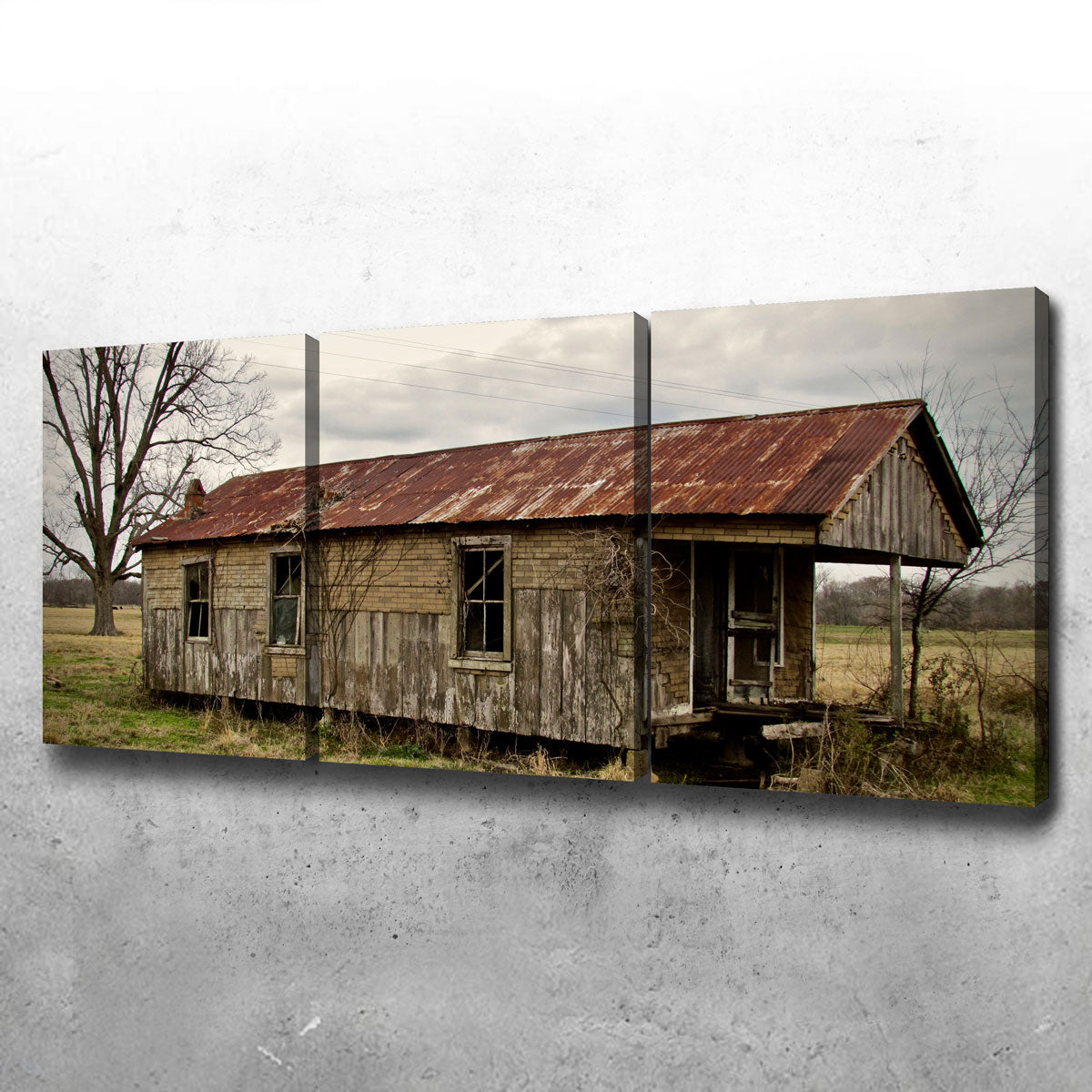 Abandoned Cabin Louisiana Wall Art